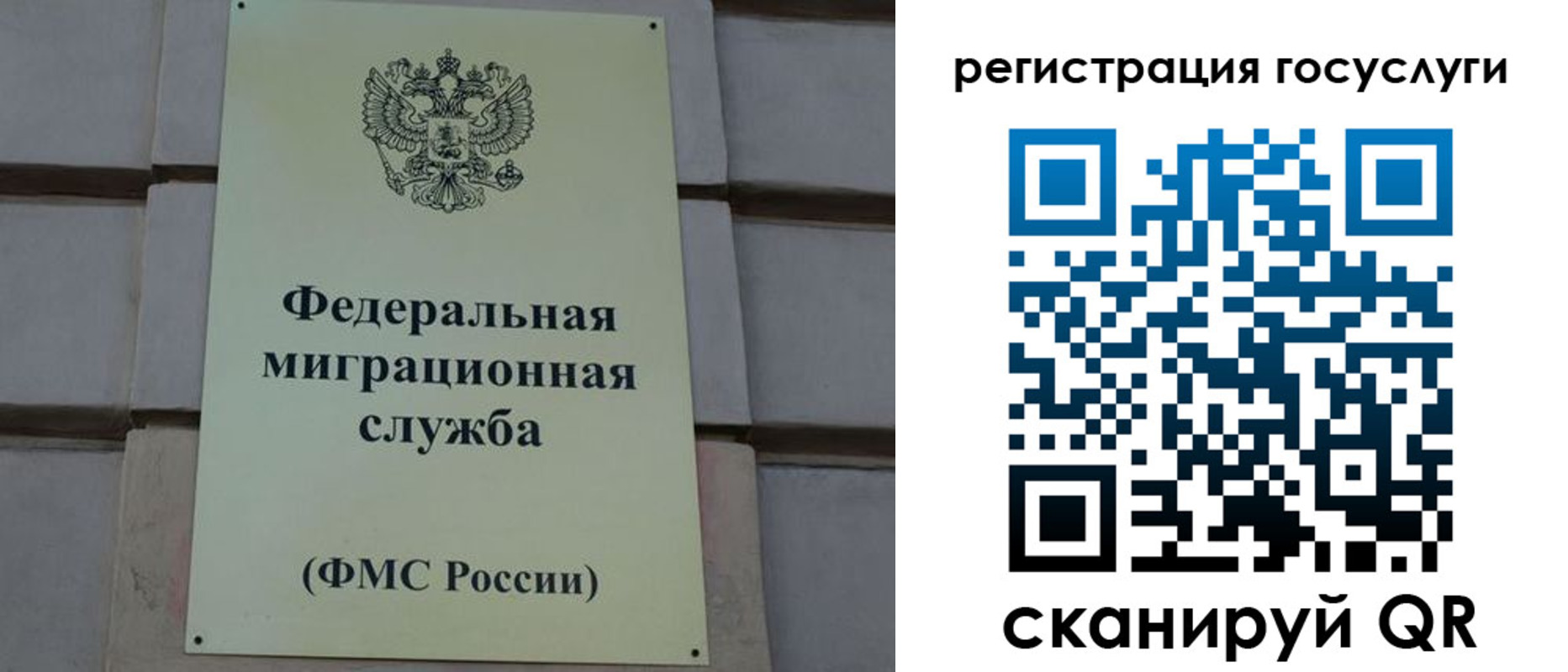 временная регистрация поиск в Межгорье